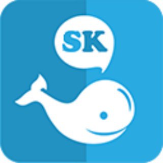 Логотип телеграм канала @socialkitchannel — SocialKit Channel