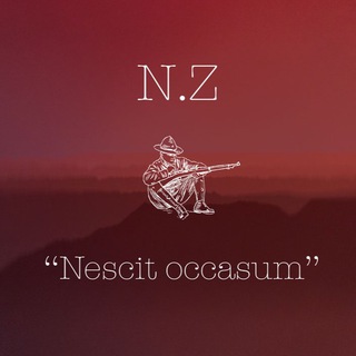 Логотип телеграм канала @socimmigrant — N.Z