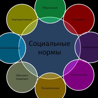 Логотип телеграм канала @socnorms — 🤔 СоцНормы 😱