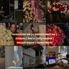 Логотип телеграм канала @sofa_soull — sofa_soull🪄