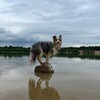 Логотип телеграм канала @sofaandnick — Keglya