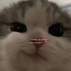 Логотип телеграм канала @sofamaterialsege — всё для егэ от study buddies❣️