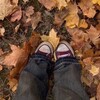 Логотип телеграм -каналу sofia_sanatorii — ♬ 𐌏ᥴінніᥔ ᥴᥲнᥲᴛ᧐ρіᥔ⋆｡🍁𖦹°‧