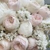 Логотип телеграм канала @sofiya_flower_valley — ‹ ‹ flowᧉr vallᧉy . . ⁬⁯⁬⁯⁬⁯⁬⁯⁬⁯⁬⁯⁬⁯⁬⁯⁬⁯⁬⁯⁬⁯⁬⁯⁬⁯⁬⁯⁬⁯⁬