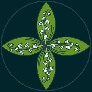 Логотип телеграм канала @softmedicine — SOFT MEDICINE