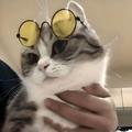 电报频道的标志 softwarealternative — Переходник | Alternative Free