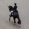 Логотип телеграм канала @sofya_dressage — 𝐬𝐨𝐟𝐲𝐚_𝐝𝐫𝐞𝐬𝐬𝐚𝐠𝐞