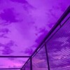Логотип телеграм канала @sohrur — Сохранёнки