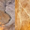 Логотип телеграм канала @soilartmsu — Soil ART