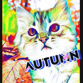 Логотип телеграм канала @sokhry_11 — Autumn 🍂 Сохры