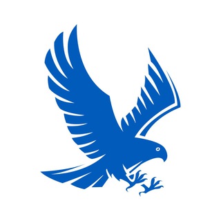 Telegram channel СОКІЛЬНИКИ 24/7 logo