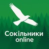 Логотип телеграм -каналу sokilnykyonline — Сокільники Online