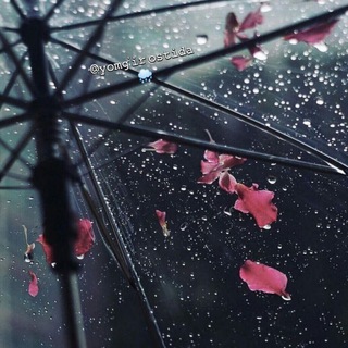 Telegram kanalining logotibi sokin_yomgir_ostida — Yomgʻir ostida🌧🌸