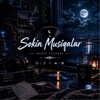 Telegram kanalining logotibi sokin_mayus_muzikalar — Sokin Musiqalar