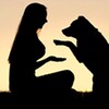 电报频道的标志 sokneoi3 — 索女Dog Come - sokneoi.com