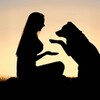 电报频道的标志 sokneoi4 — 索女Dog Come 4.0
