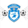 Логотип телеграм канала @sokol2013saratov — Сокол-2013