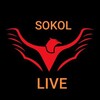 Логотип телеграм канала @sokol_livi — SOKOL LIVE