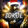 Логотип телеграм -каналу sokol_v_crypto — Sokol 🦅v crypto🤑