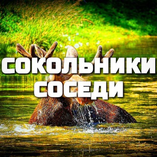 Логотип телеграм канала @sokolnikisosedi — Сокольники Соседи