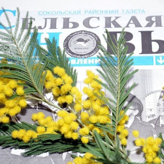 Логотип телеграм канала @sokolskyi1 — Первый Сокольский