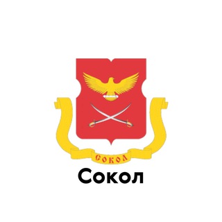 Логотип телеграм канала @sokoltoponline — Сокол