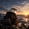 Telegram channel Sokol 🦅v crypto logo