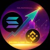 Telegram channel Solana Gems Calls 🚀 Pump Memecoins logo