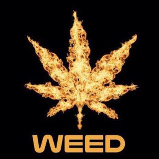 Logo of telegram channel solanaweedchannel — 🔥WEED ANNOUNCEMENT CHANNEL🔥