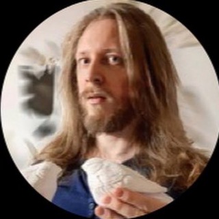 Логотип телеграм канала @solarisavis — Solaris Avis
