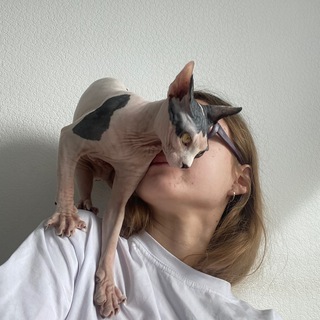 Логотип телеграм канала @soldysofa — Матрица Судьбы| Софа☀️