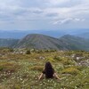 Логотип телеграм канала @soleil_levant_m — 𝔼𝕃𝔼ℕ𝔼𝕍𝔸 | творческий дневник