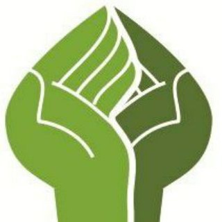 Логотип телеграм канала @solidarnostfund — Фонд Солидарность