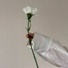 Telegram каналынын логотиби solihammusulmanka — Жан дуйном🫀🍃😍