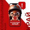 Логотип телеграм канала @solovej46 — Соловьиный край