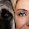 Логотип телеграм канала @soloveva_ira_dogs — Истории про собак и не только.|Ира Соловьёва
