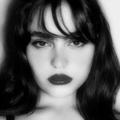 Logo saluran telegram soly_al — - 𝒕𝒘𝒆𝒍𝒗𝒆 .