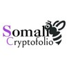 Logo of telegram channel somalicryptofolio — RajoAcademy