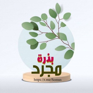 لوگوی کانال تلگرام somsn — ⇣❥ مجرد بذرة ❥⇣