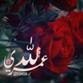 Logo saluran telegram somsn1 — لله عمري 🌿💭
