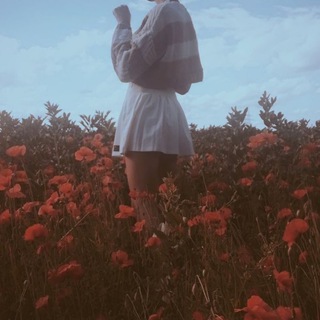 Логотип телеграм канала @son_na_makovom_pole — Маковое поле
