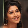 Telegram channel Sonarika Bhadoria logo