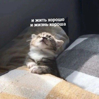 Логотип телеграм канала @sonch_tg — Сонч