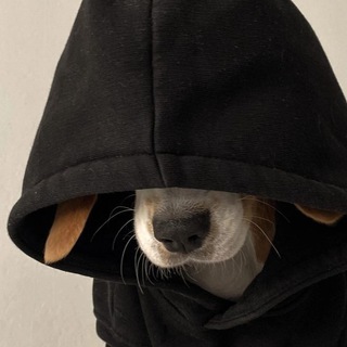 Logo del canale telegramma songssforyouu - 𝑽𝒊𝒐𝒍𝒌𝒂'𝒔 𝒑𝒍𝒂𝒚𝒍𝒊𝒔𝒕