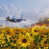 Логотип телеграм -каналу soniah_hub — Соняшник🦅