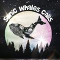 Logo saluran telegram sonicwhalescalls — 🐳Sonic Whales® Calls🐳