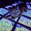 Логотип телеграм канала @sonnwave — sonnwave