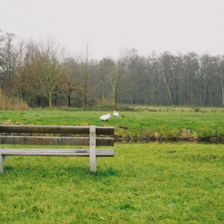 Логотип телеграм канала @sonoformaggio — Иду. Смотрю. Пишу