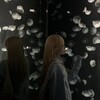 Логотип телеграм канала @soojinar — картонка блог