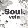 Логотип телеграм канала @sooulveinn — ˚₊˳•Soul.vein•˳✧